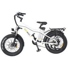Merry Go Electric Bicycle for Outdoor and Sports Aries White